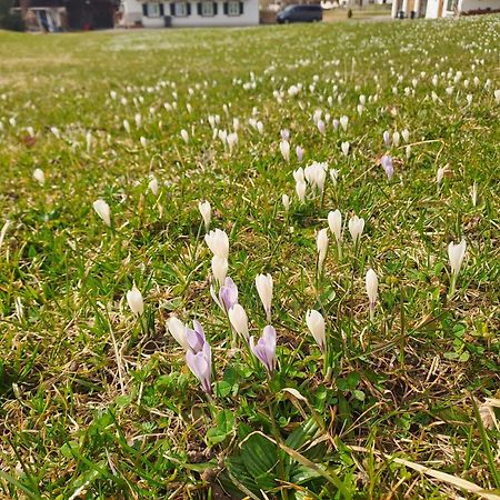 Bauernhaus Jocher Krün Kültér fotó