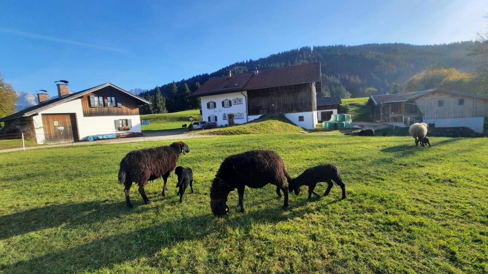 Bauernhaus Jocher Krün Kültér fotó