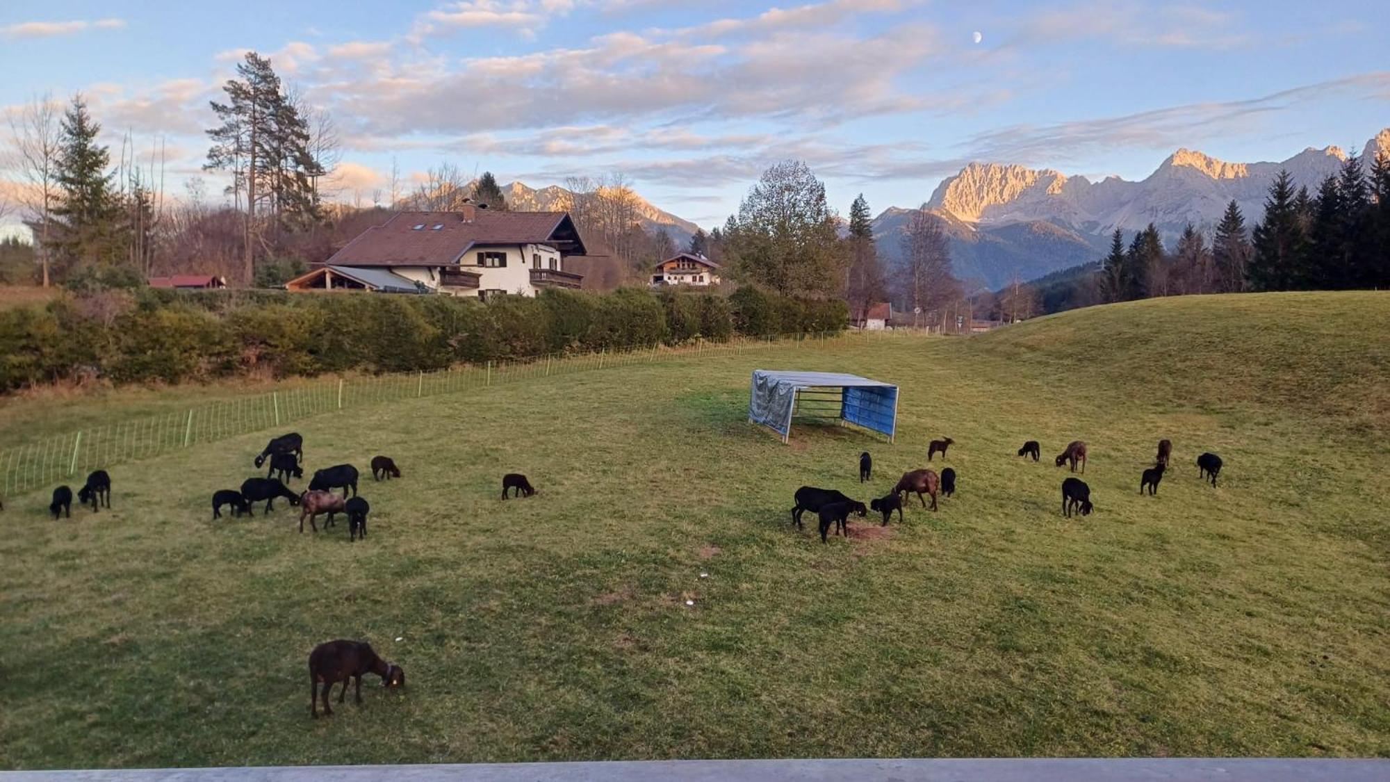 Bauernhaus Jocher Krün Kültér fotó